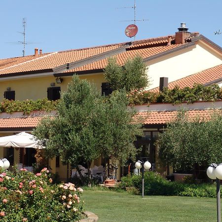 Fattoria Belvedere Bellaria-Igea Marina Ngoại thất bức ảnh