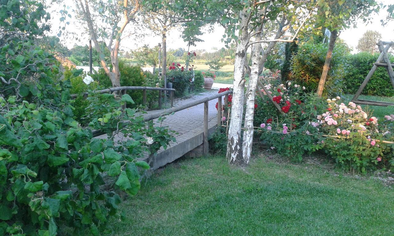 Fattoria Belvedere Bellaria-Igea Marina Ngoại thất bức ảnh
