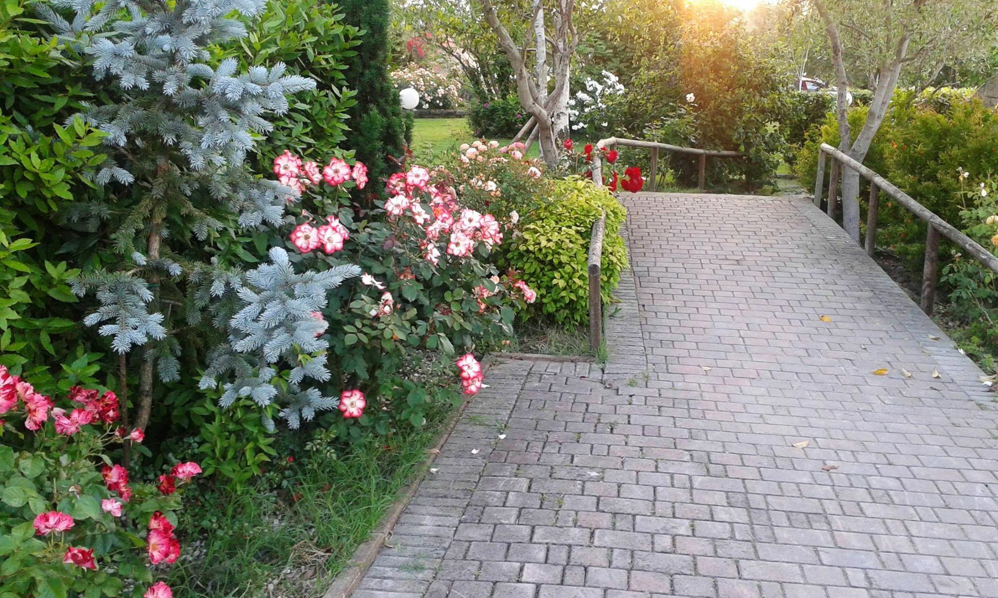 Fattoria Belvedere Bellaria-Igea Marina Ngoại thất bức ảnh